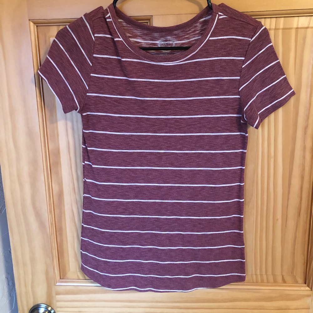 Pink Crew Neck Fitted T-Shirt